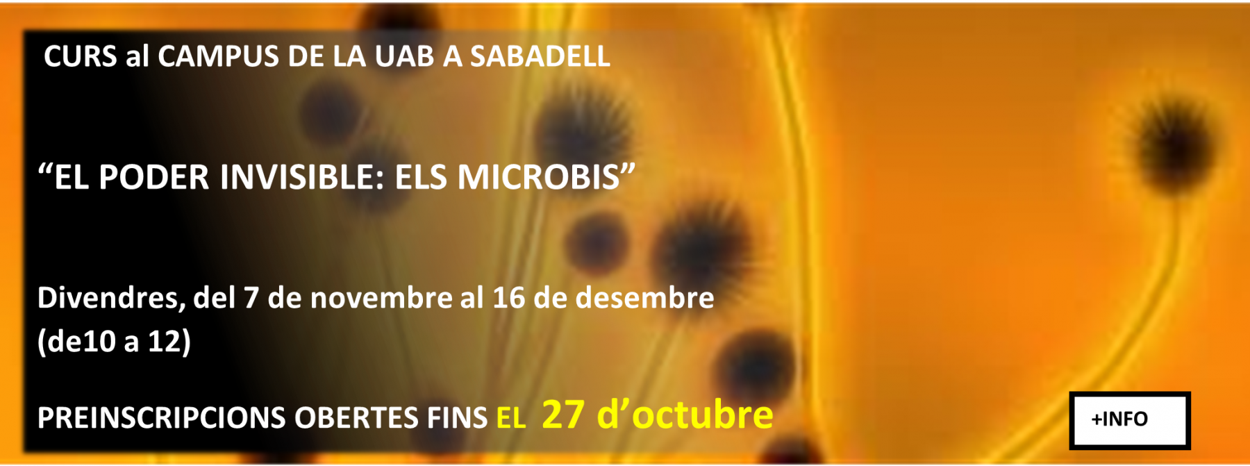 Aula d´Extensió Universitària de Sabadell, per a la Gent Gran