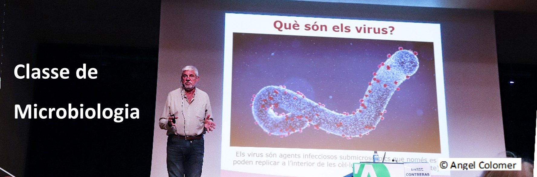 Sr. Enric Contreras