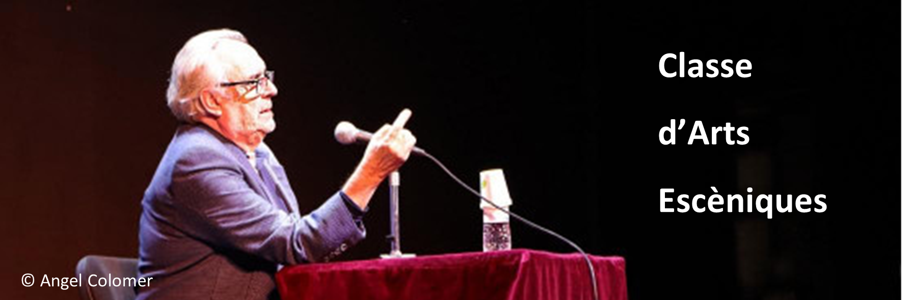 Sr. Joan LLuís Bozzo