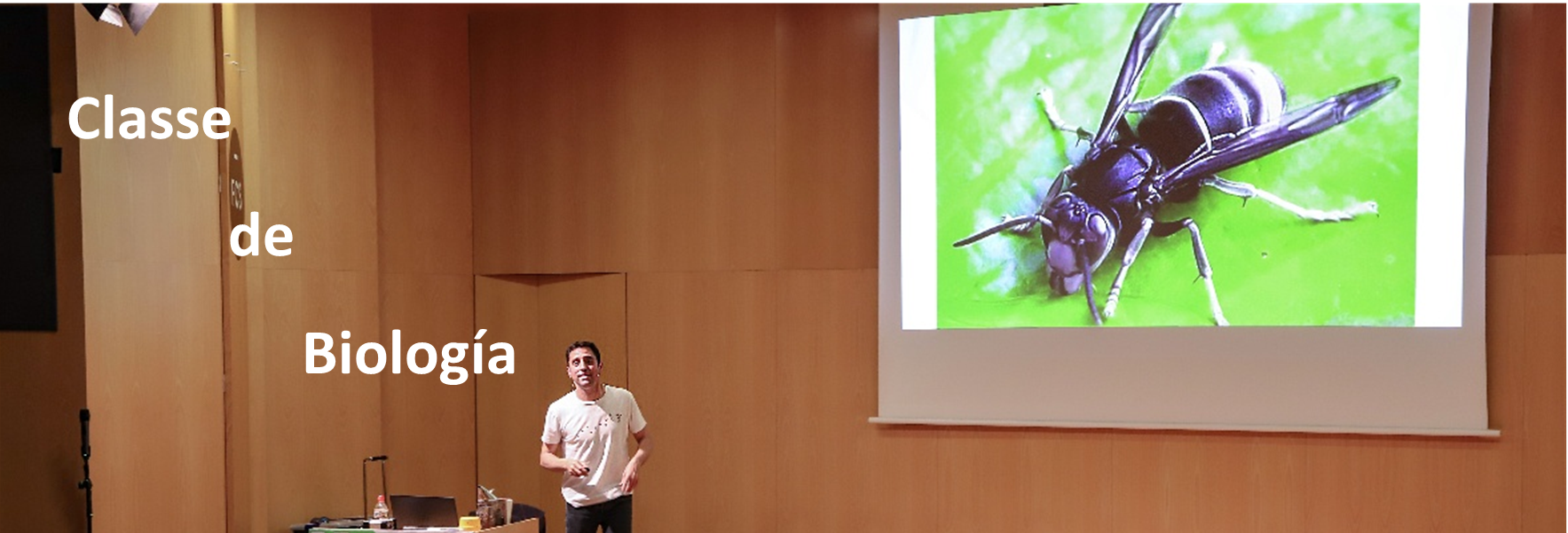 Sr. Ernest Francolí