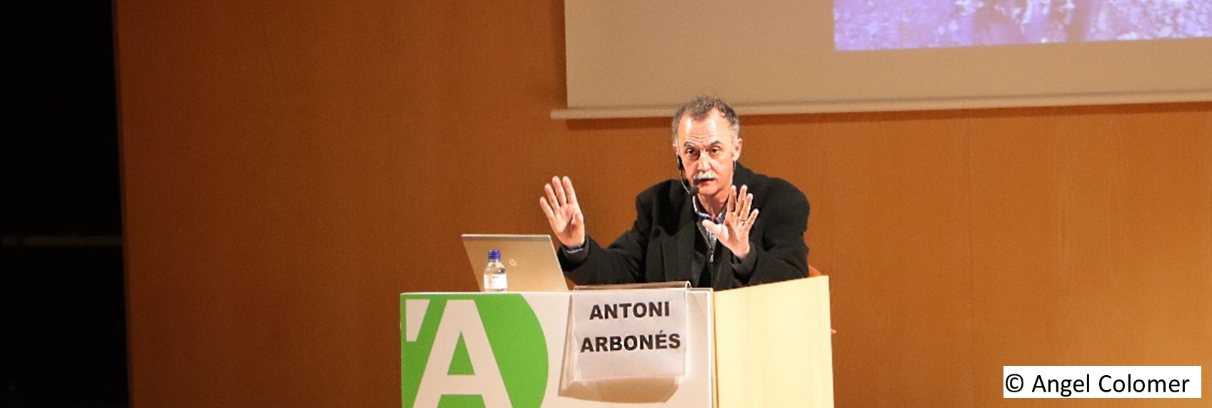 Sr.Antoni Arbonés
