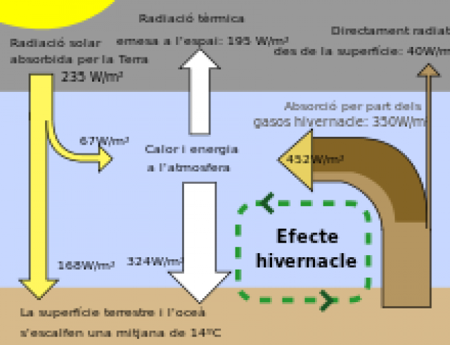 Efecta hivernacle (wikipedia)
